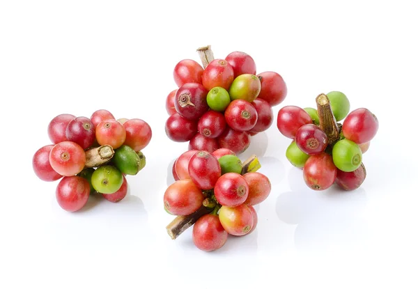 Chicchi di caffè maturi su sfondo bianco — Foto Stock