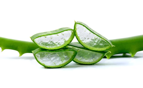 Frische Aloe Vera Blätter auf weißem Hintergrund — Stockfoto