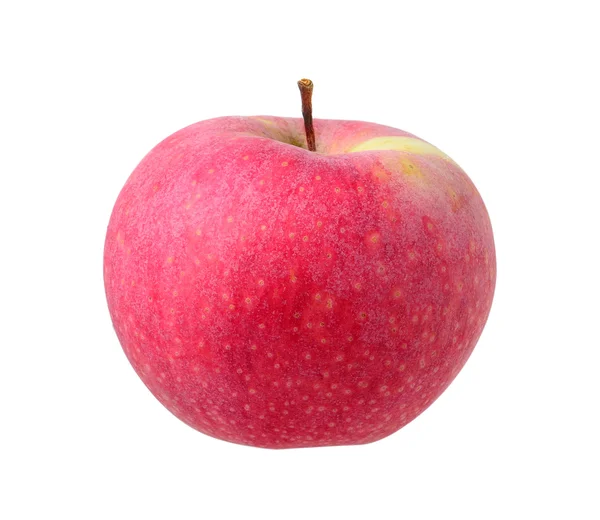 Roter reifer Apfel auf weißem Hintergrund — Stockfoto