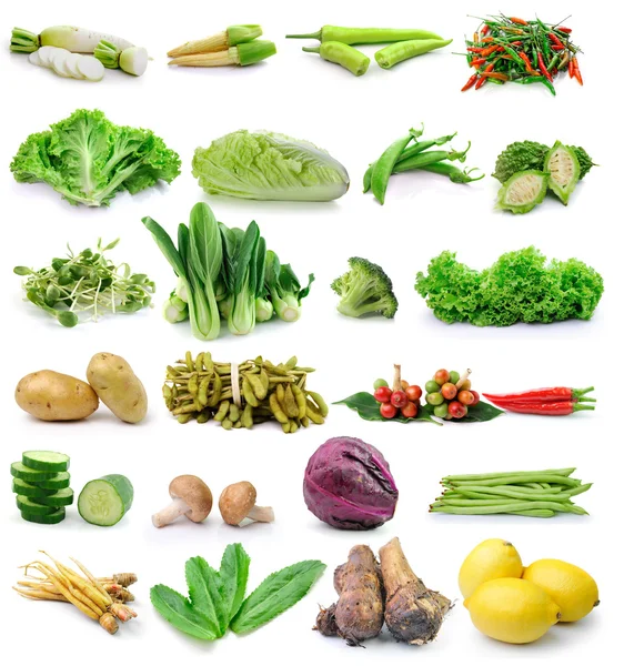 Conjunto de verduras sobre fondo blanco — Foto de Stock