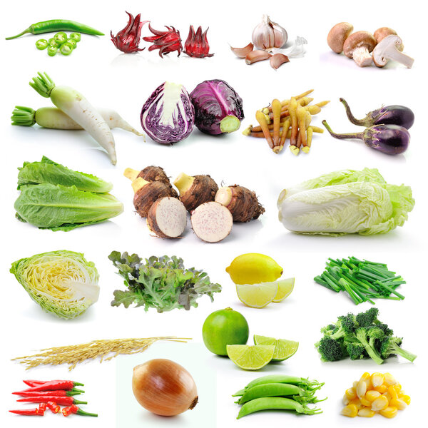 set of vegetable on white background