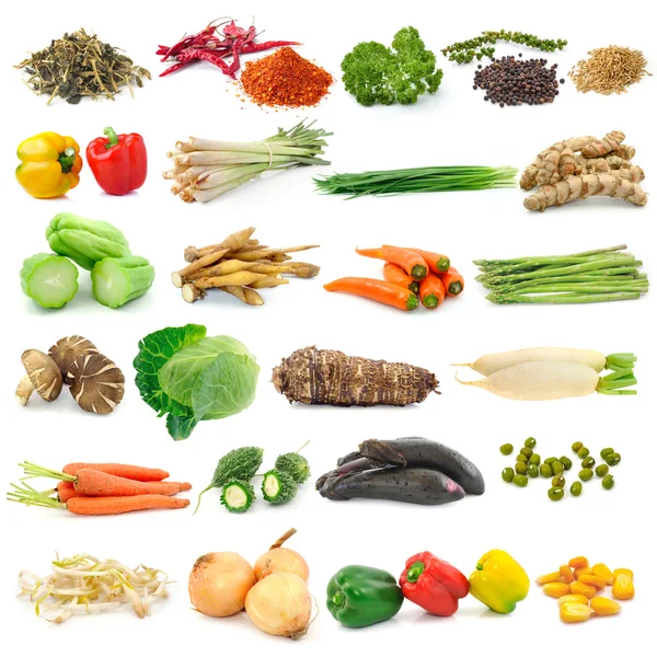 Conjunto de verduras sobre fondo blanco — Foto de Stock