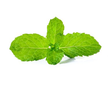 Beyaz arkaplanda taze nane