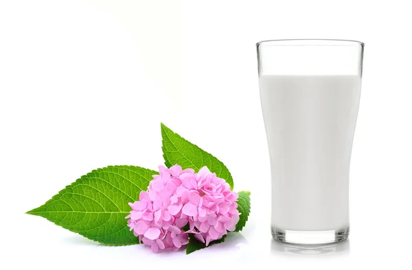 Glass of milk and Tropical flowers on white — Stock Photo, Image