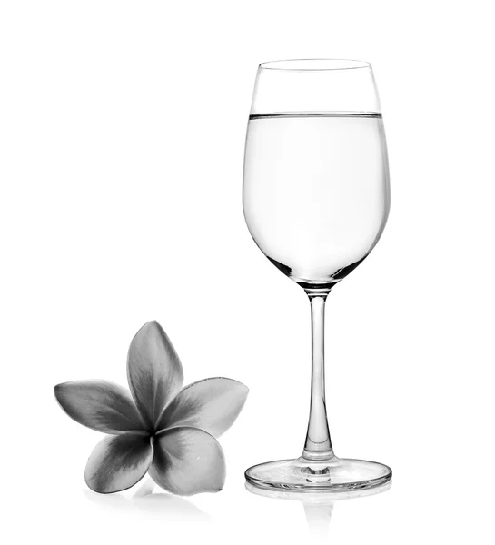 Glass of water and black and white Tropical flowers frangipani ( — Stock Photo, Image