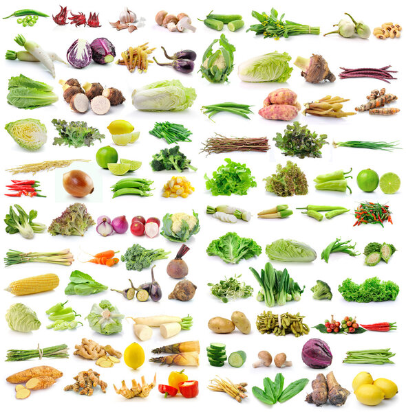 Set of vegetable on white background