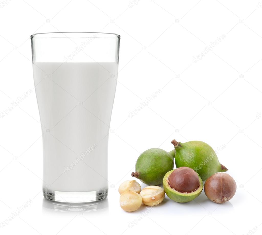 milk and macadamia nuts on white background