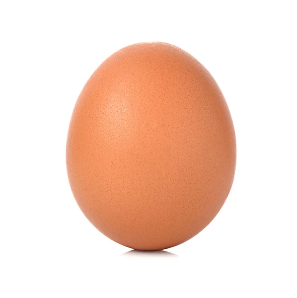 Ägg isolerad på vit bakgrund — Stockfoto