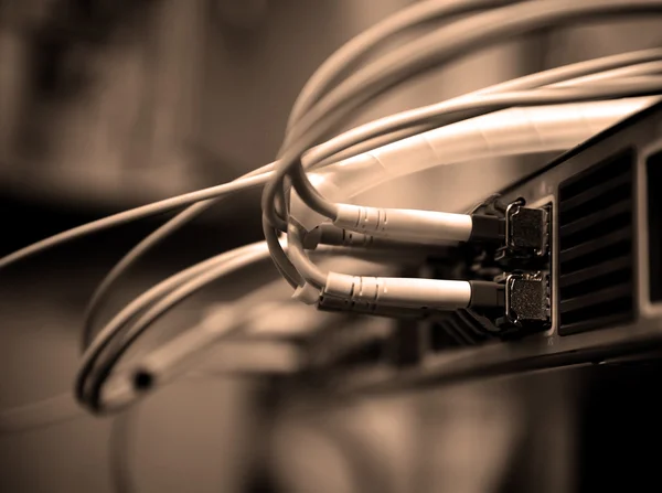 Сетевые оптоволоконные кабели и концентратор — стоковое фото