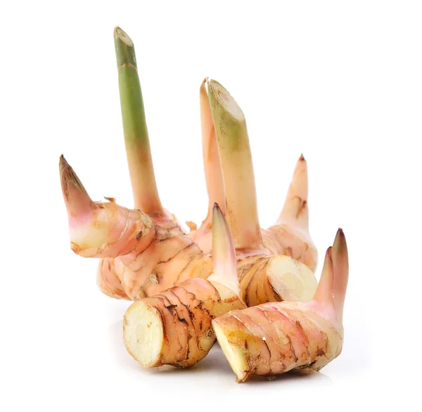 Galangal on white background — Stock Photo, Image