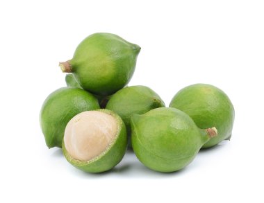 Beyaz arka planda taze Macadamia fındığı