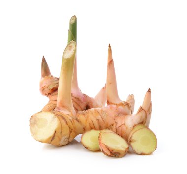 Beyaz arkaplanda Galangal