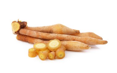 Parmak kökü, Kaempfer, Boesenbergia beyaz arkaplanda