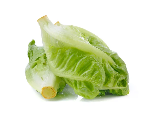 Frisk salat (baby cos) på hvid baggrund - Stock-foto