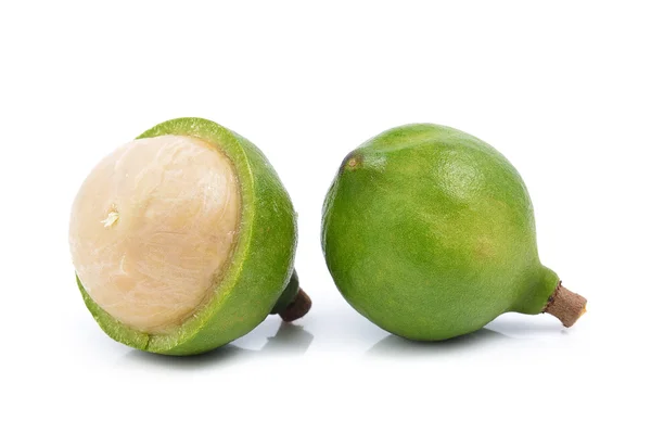 Nuez de macadamia fresca sobre fondo blanco — Foto de Stock