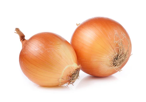 Onion on white background — Stock Photo, Image