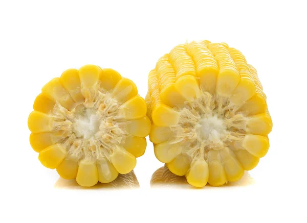 Corn on white background — Stock Photo, Image