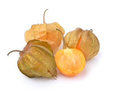 Beyaz arka planda Physalis meyvesi