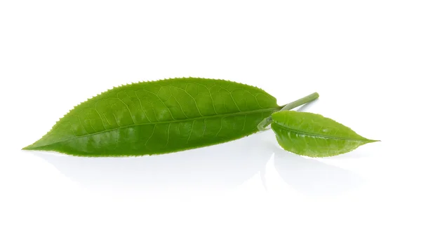 Зелений чайний лист ізольований на білому тлі — стокове фото