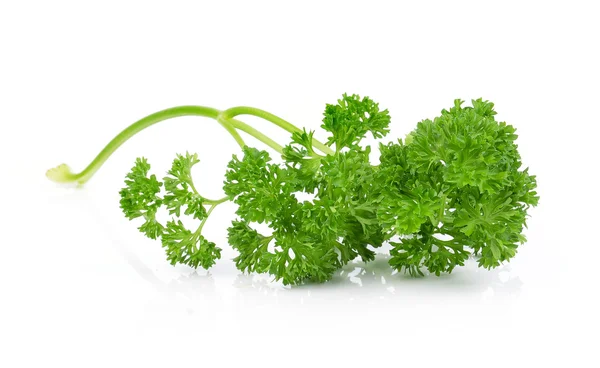 Green leaves of parsley isolated on white background — Stock Photo, Image