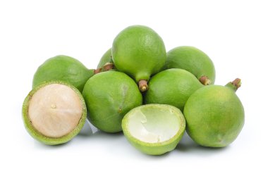 Beyaz arka planda taze Macadamia fındığı