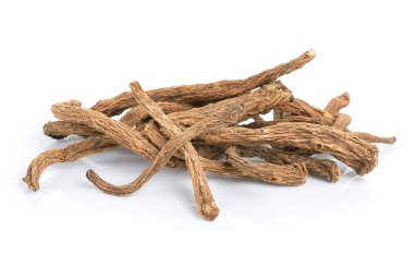 Angelica sinensis bitki beyaz arka plan üzerinde