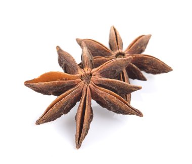 Yıldız anason baharat meyve ve tohum beyaz arka plan üzerinde izole 
