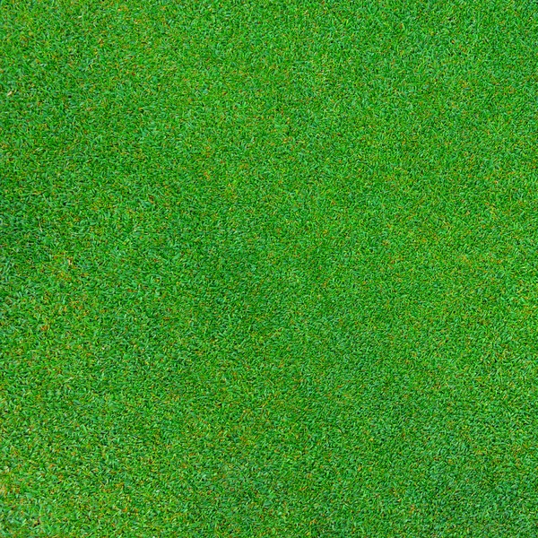 Green grass texture for background — Stock Photo, Image