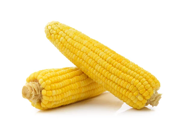 Kukorica fehér alapon — Stock Fotó