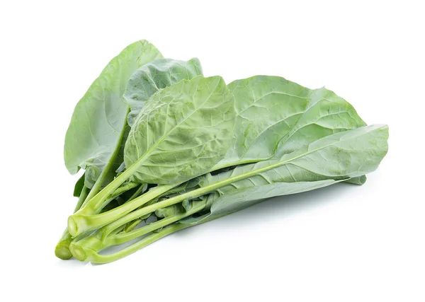 Chinese broccoli on white background — Stock Photo, Image