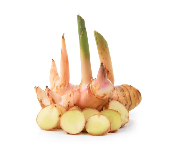 Galangal på vit bakgrund — Stockfoto