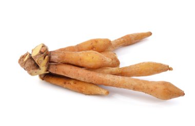 Parmak kökü, Kaempfer, Boesenbergia beyaz arkaplanda