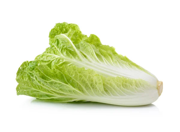 Fresh chinese cabbage on a white background — Stock Photo, Image