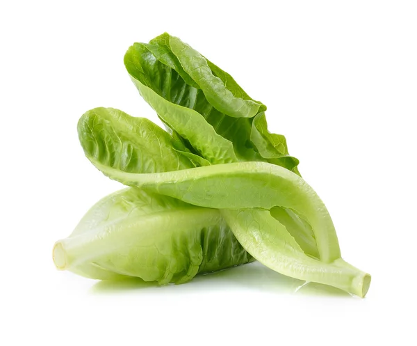 Cos saláta fehér háttér — Stock Fotó