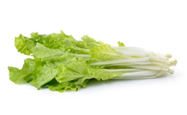 Beyaz arkaplanda marul izole