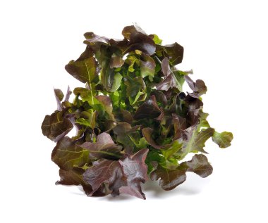 Beyaz arkaplan üzerinde marul