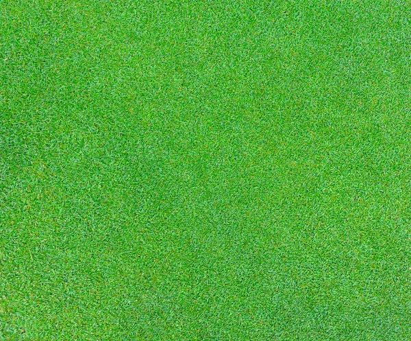 背景の緑の草の質感 — ストック写真