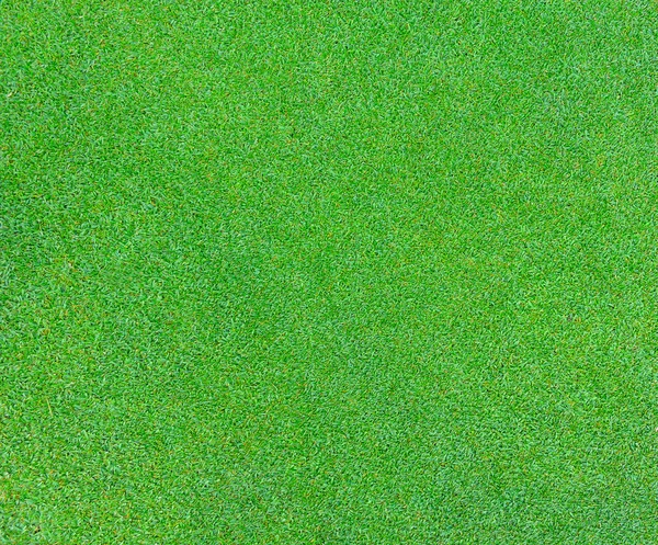 Textura de hierba verde para fondo — Foto de Stock