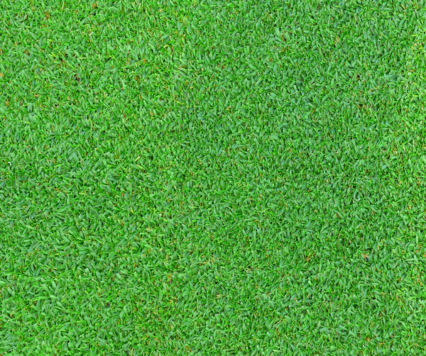 Grönt gräs struktur för bakgrund — Stockfoto