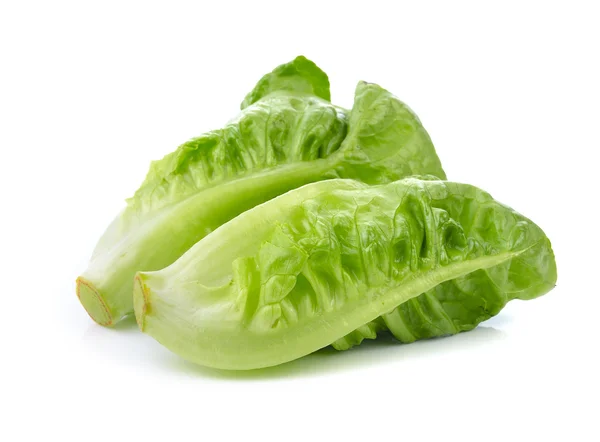 Tuore salaatti (baby cos) valkoisella pohjalla — kuvapankkivalokuva
