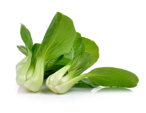 Bok choy vegetal no fundo branco — Fotografia de Stock