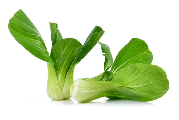 白を基調としたブックチョイ野菜 — ストック写真