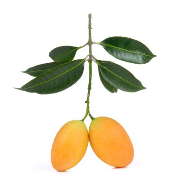  tatlı beyaz adam izole Marian Erik Tay meyve