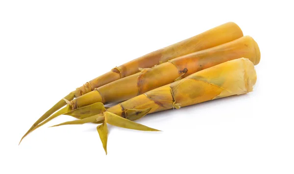 Bamboo shoot on white background — Stock Photo, Image