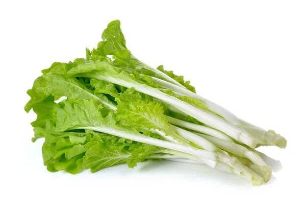 Salată verde izolată pe fundal alb — Fotografie, imagine de stoc