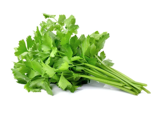 Verse groene selderij geïsoleerd op witte achtergrond — Stockfoto