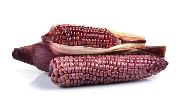 Paarse maïs op witte achtergrond — Stockfoto