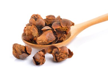 Beyaz arka plan ağaç kaşık Hint gül kestane ot