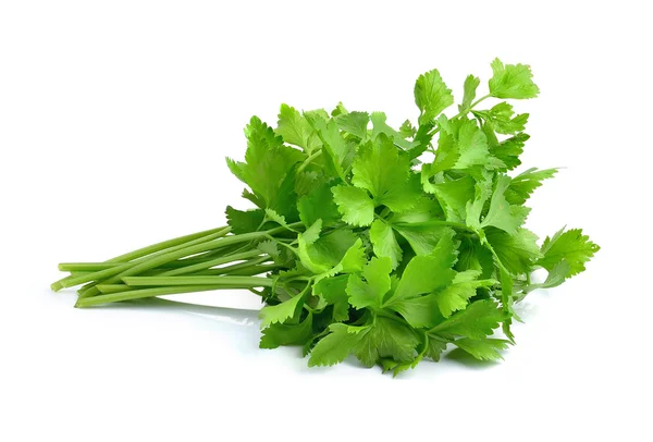 Fresh green celery isolated on white background — Stock Photo, Image