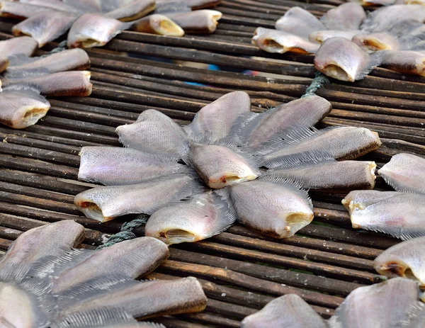 Sun dried salid fish before cooking sell in the market in thaila — Stock Photo, Image